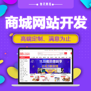 电商网站开发O2O、B2B、B2C