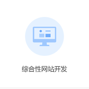 综合性网站开发