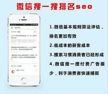 微信搜一搜seo优化