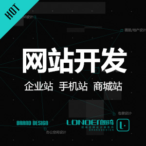 网站设计与开发