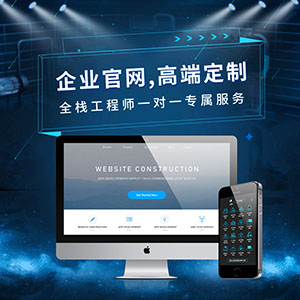 网站建设电商网站微网站分销网站企业官网APP开发网站定制开发网站模板网站源码
