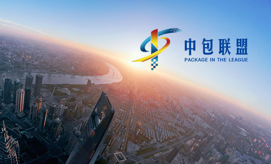 中包联盟网站开发