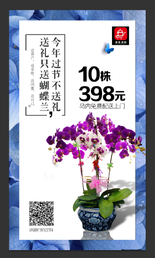 蝴蝶兰广告画面海报设计