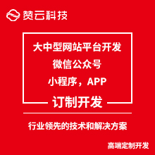 高端订制开发