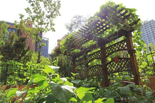景观怎么设计?10个实用的景观设计要点介绍