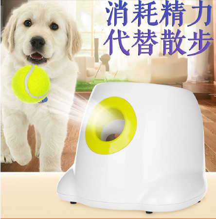 宠物创意玩具，工业设计团队