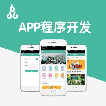 App程序开发