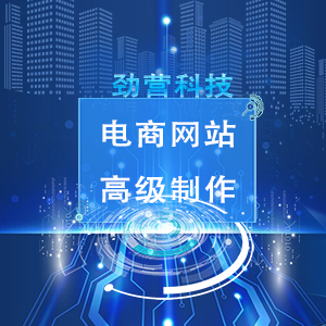 【劲营】网站开发丨网站建设丨电商网站开发丨网站设计丨电商网站定制开发