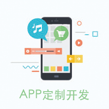 APP定制开发