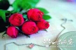 精选100条三八妇女节祝福语