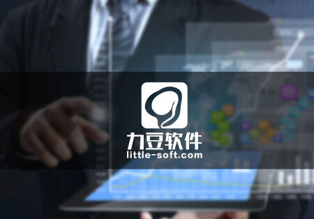 ERP及各类管理软件开发