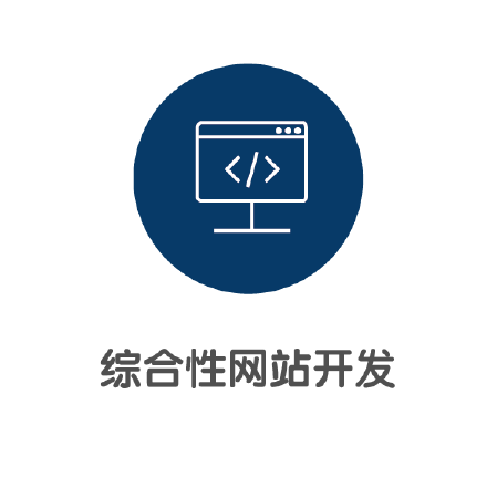 综合性网站开发
