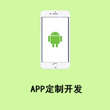 APP定制开发