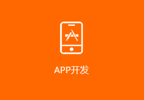 APP开发