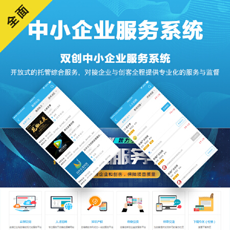 中小型企业服务系统定制开发
