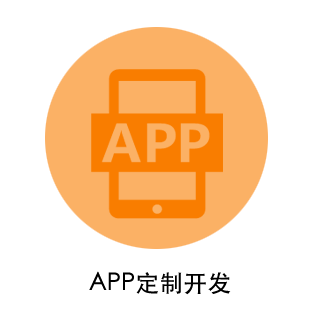 APP定制开发