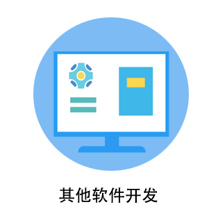 其他软件开发
