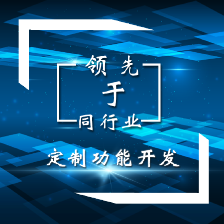 定制功能开发