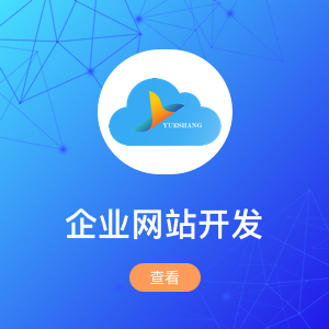 企业网站开发