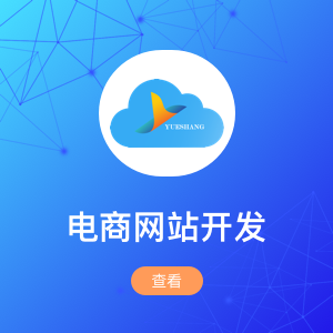 电商网站开发