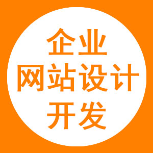 企业网站设计开发