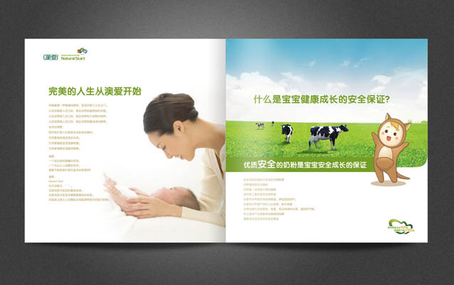 画册设计多少钱?企业画册设计一本需要多少钱?