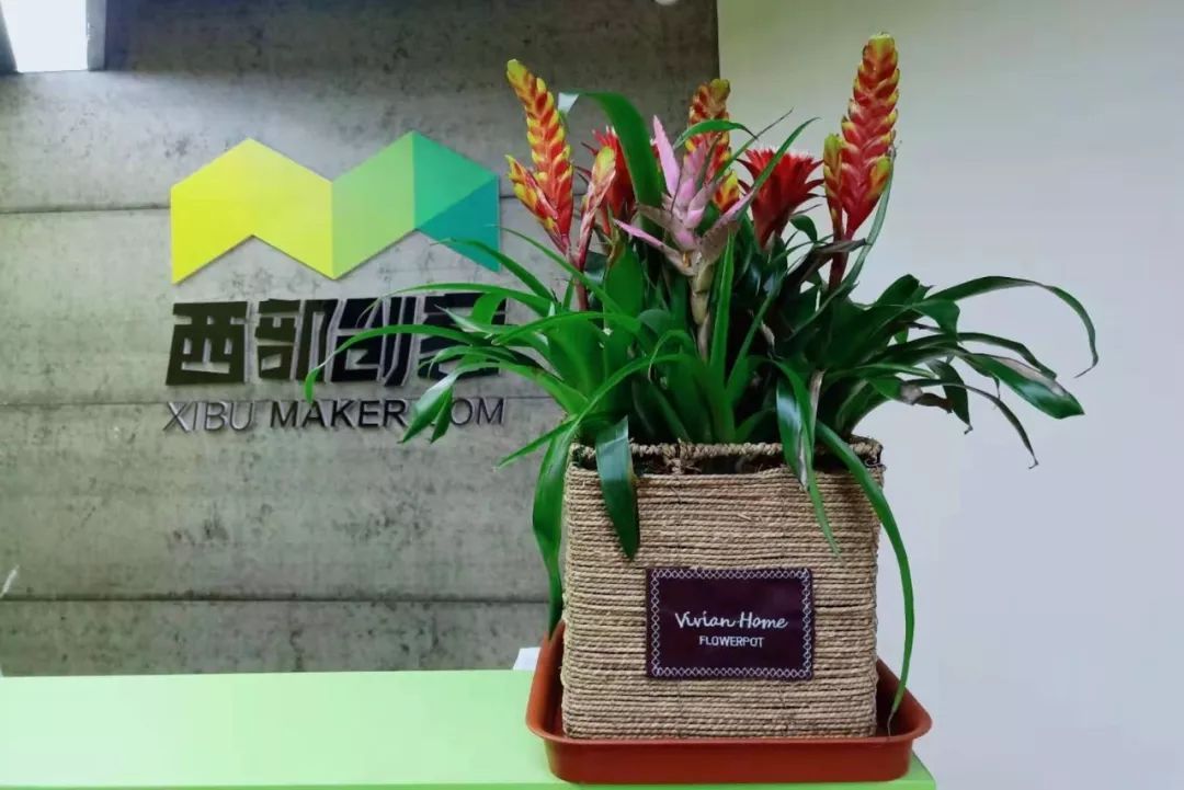 2019紧跟未来办公趋势的绿色办公设计，你见过吗？