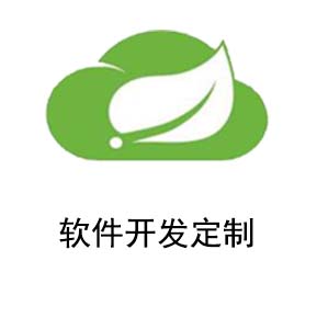 spring cloud  软件定制化开发