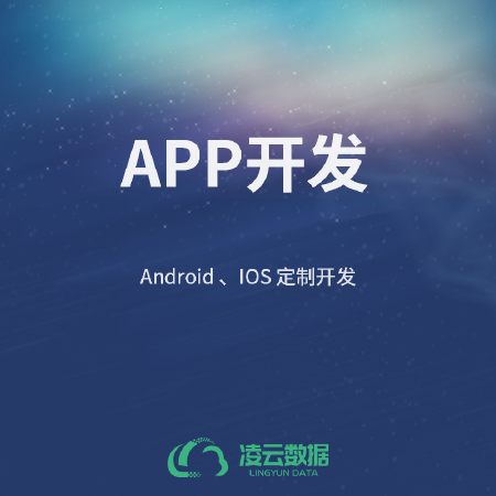 APP开发
