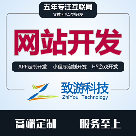 网站定制开发 网站开发