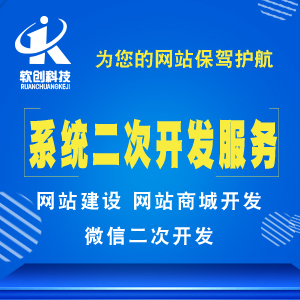系统二次开发服务