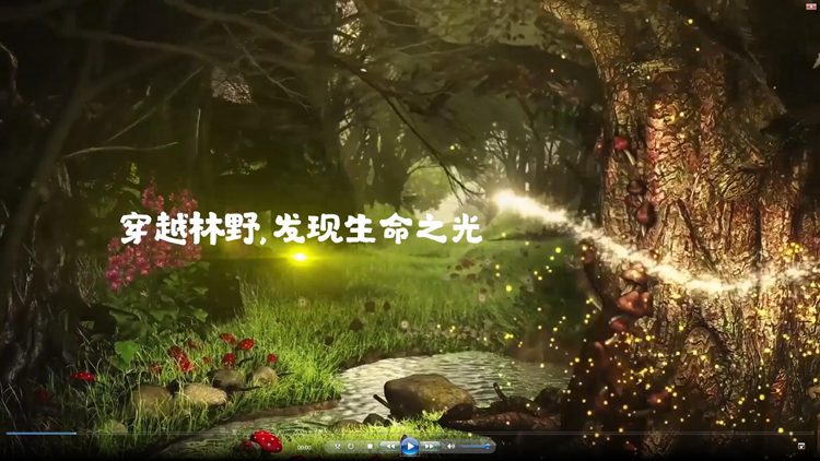 中南.魔幻森林小视频