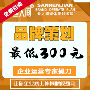 品牌策划方案 食品地产金融服装餐饮娱乐食品地产金融珠宝医疗农业化妆品企业品牌策划