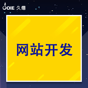 网站开发