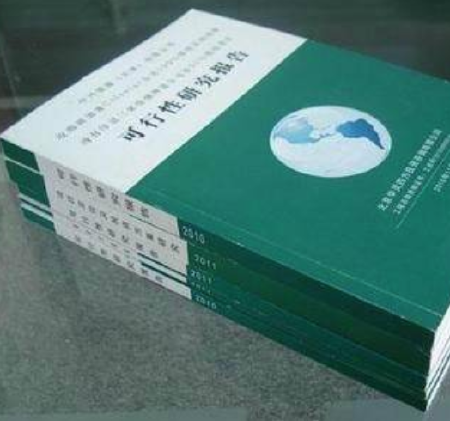 项目可行性报告