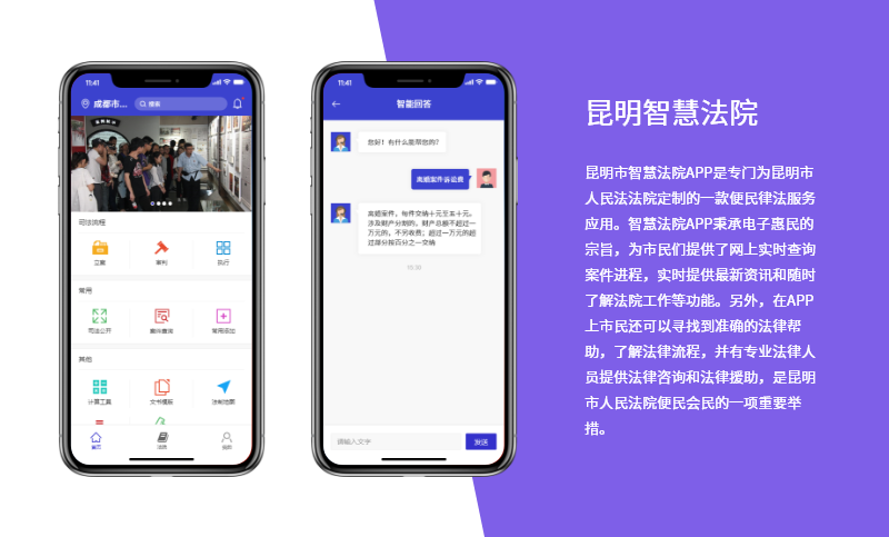 昆明智慧法院—成都蓝色风暴