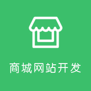 商城网站开发
