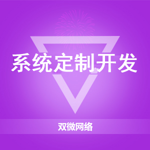 系统定制开发