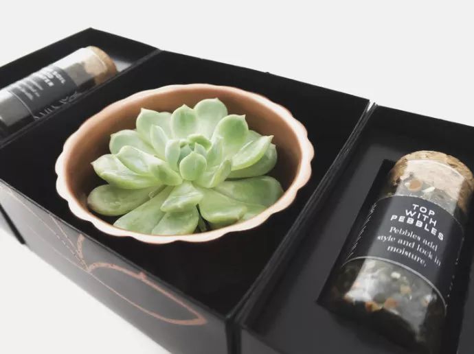 1组高颜值的农产品包装设计案例欣赏