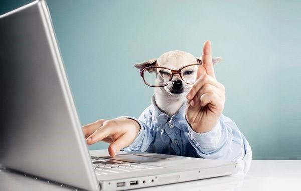企业网站设计开发费用多少?开发费用包括什么哪些?