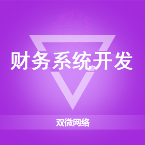 财务系统开发