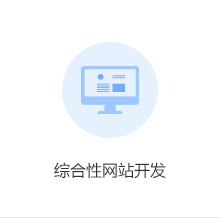 综合性网站开发