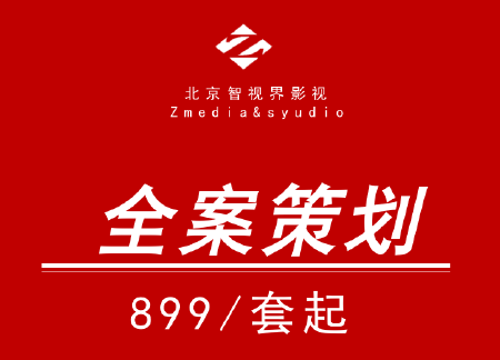 品牌策划品牌故事品牌简介文案撰写全案策划定制企业文化