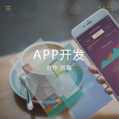APP开发