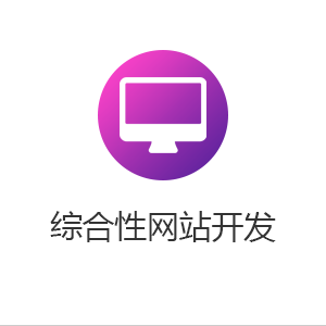 综合性网站开发