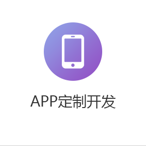 APP定制开发