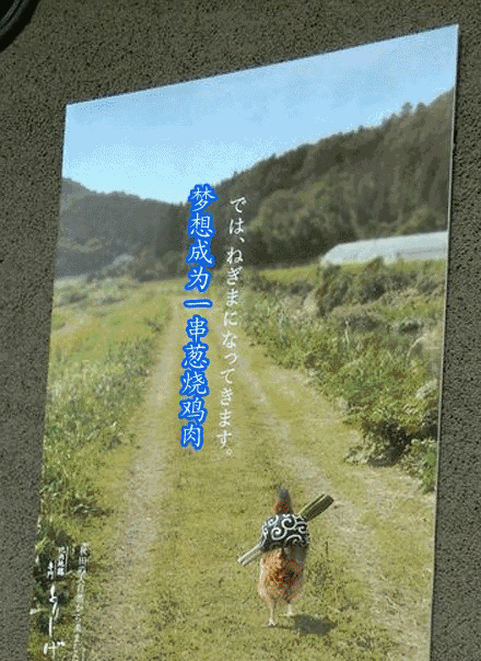 让人舍不得扔的宣传单设计,这样的宣传单设计最受顾客欢迎