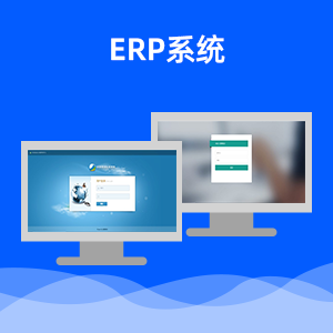 ERP系统开发