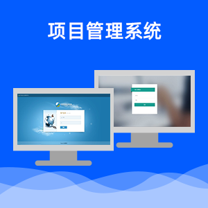 进销存管理系统开发