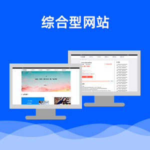综合型网站